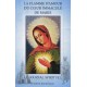 La Flamme d'Amour du Coeur Immaculé de Marie, le Journal spirituel
