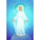 LOT DE 20 - Carte Postale Maîte Roche Vierge Miraculeuse
